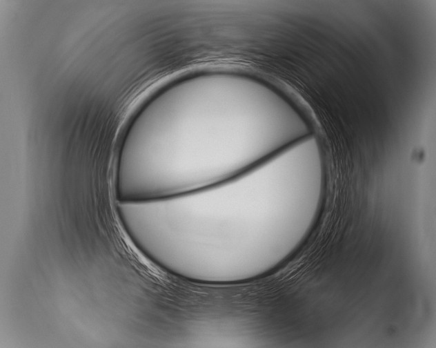 X0000115631343200911101110