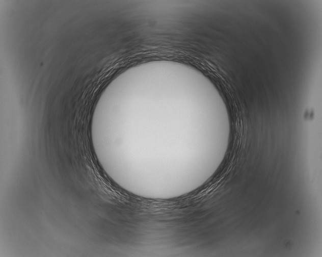 X0000115631345200911101110