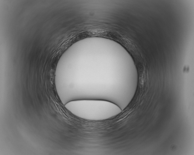 X0000115631346200911101110