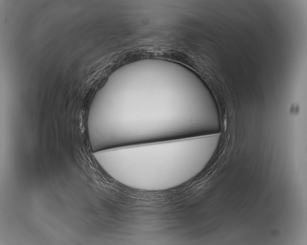 X0000115631347200911101110