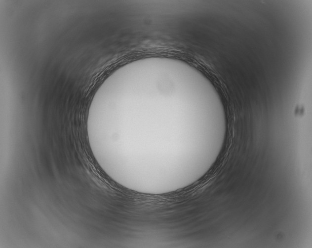 X0000115631348200911101110