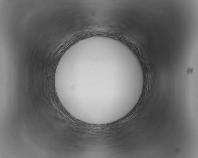 X0000115631349200911101110