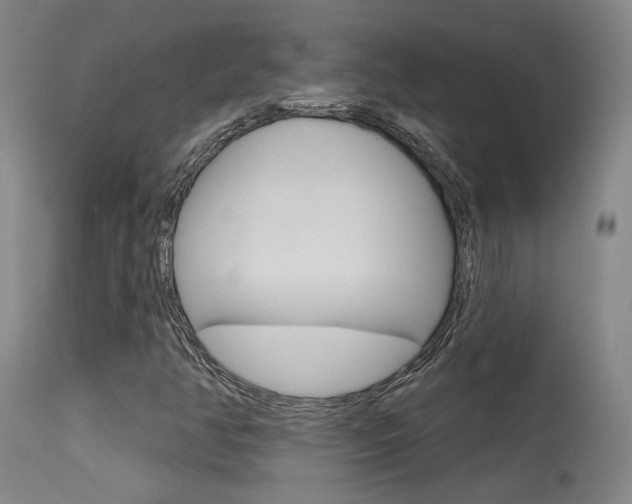 X0000115631350200911101110
