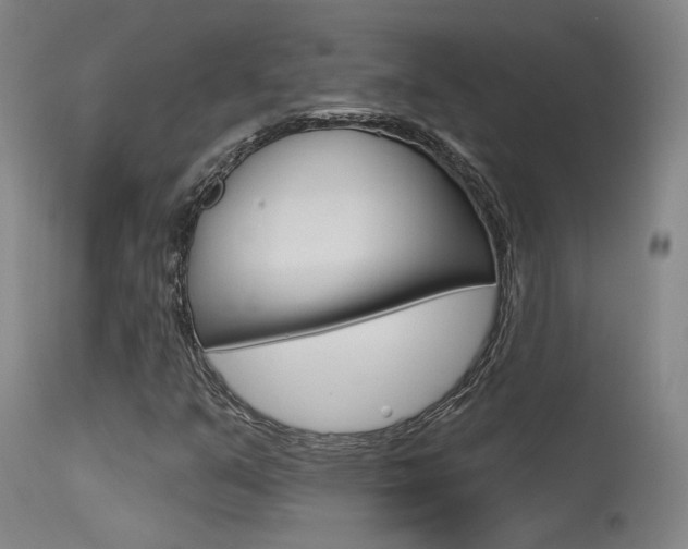 X0000115631351200911101110