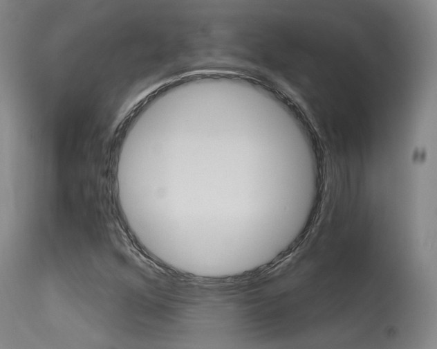 X0000115631352200911101110