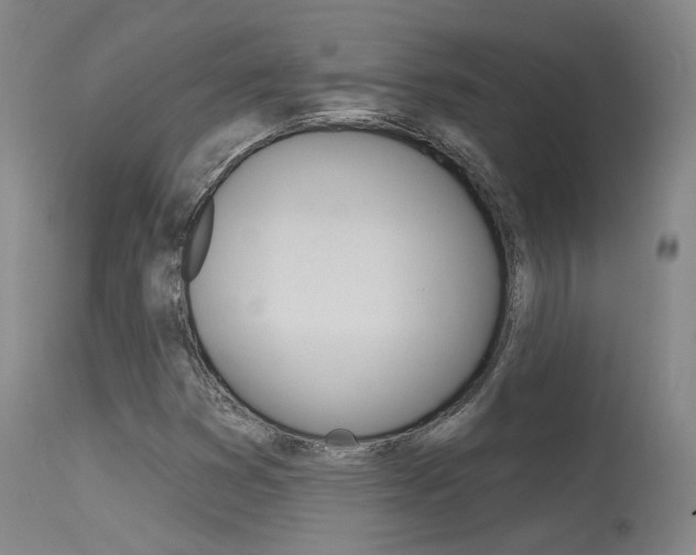 X0000115631353200911101110