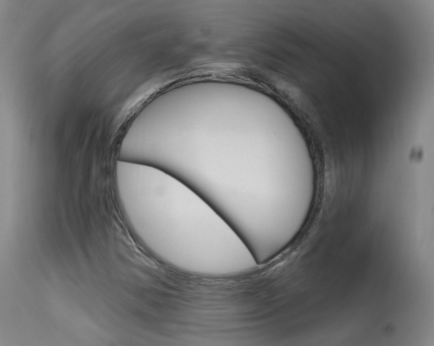 X0000115631354200911101110
