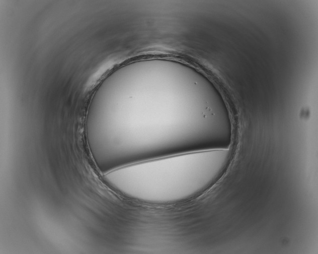 X0000115631355200911101110
