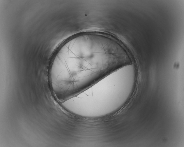 X0000115631356200911101109