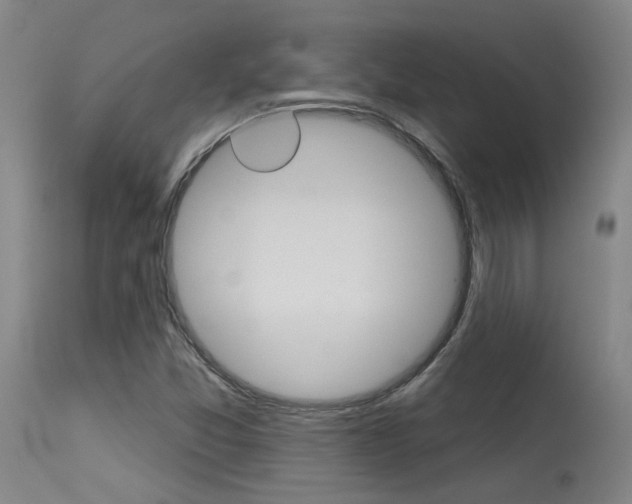 X0000115631357200911101109
