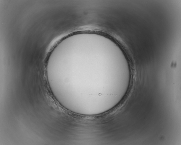 X0000115631358200911101109