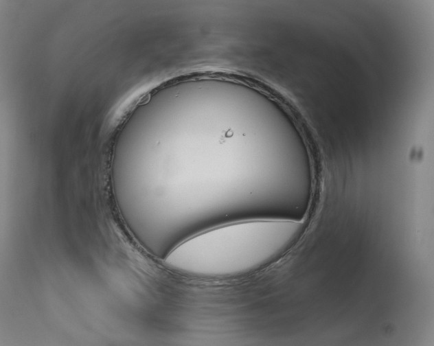 X0000115631359200911101109