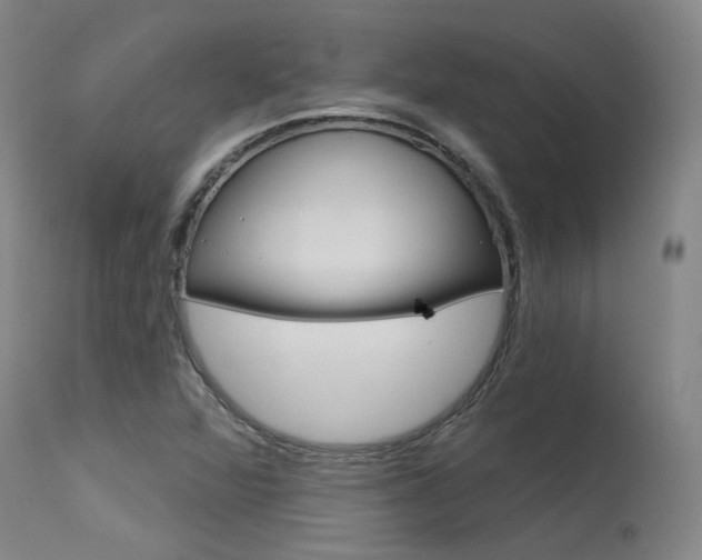 X0000115631360200911101109