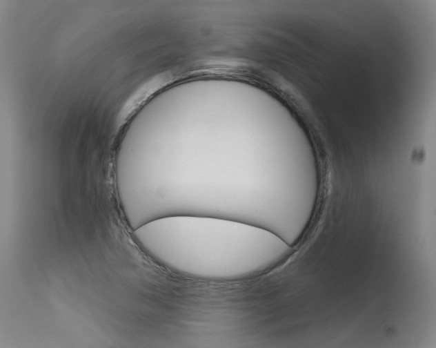 X0000115631362200911101109