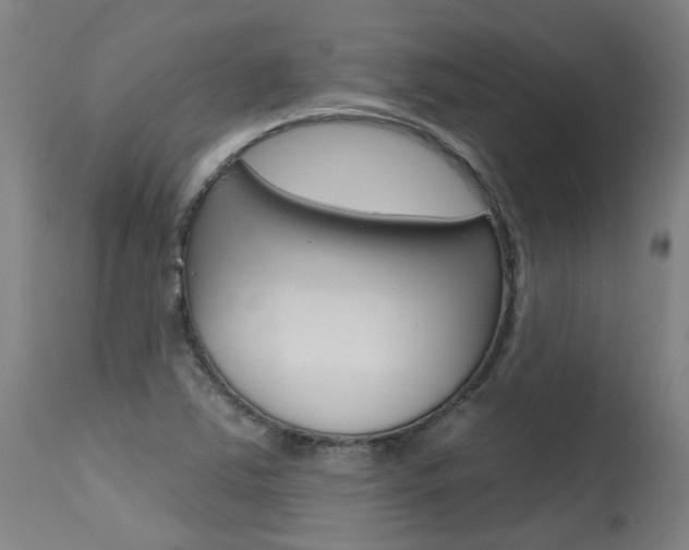 X0000115631363200911101109