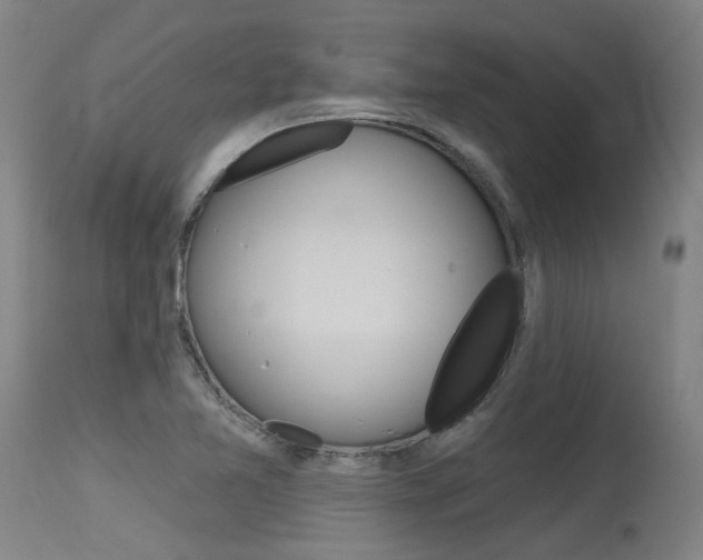 X0000115631365200911101109