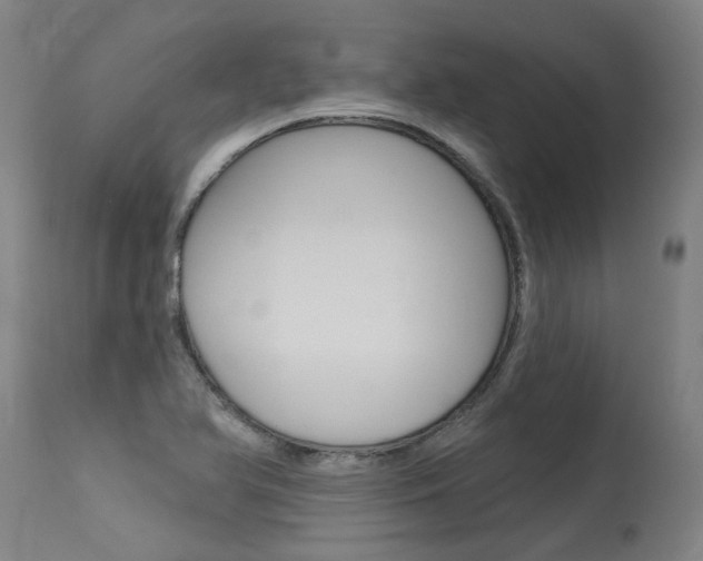 X0000115631366200911101109