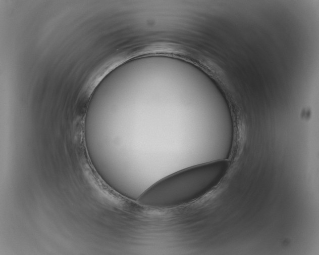 X0000115631369200911101109