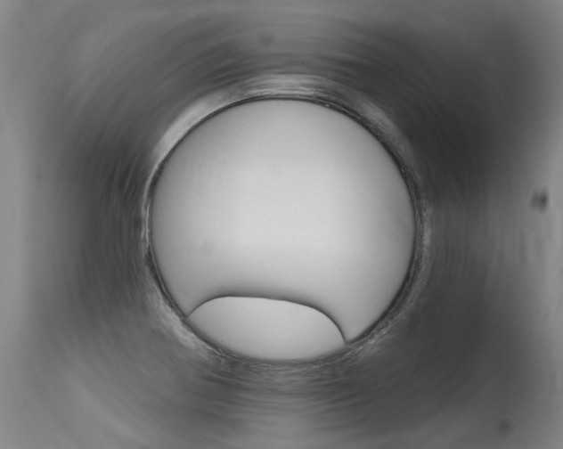 X0000115631370200911101109