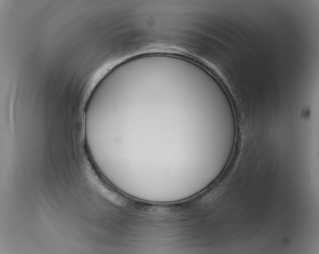 X0000115631371200911101109