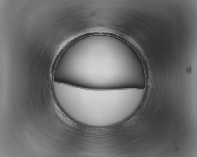 X0000115631372200911101109