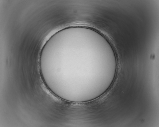 X0000115631374200911101109