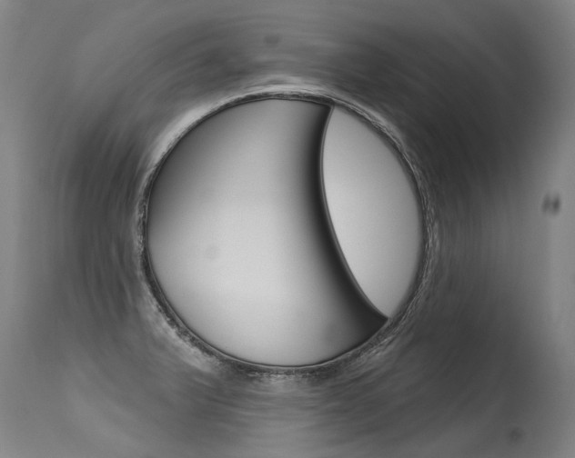 X0000115631375200911101109