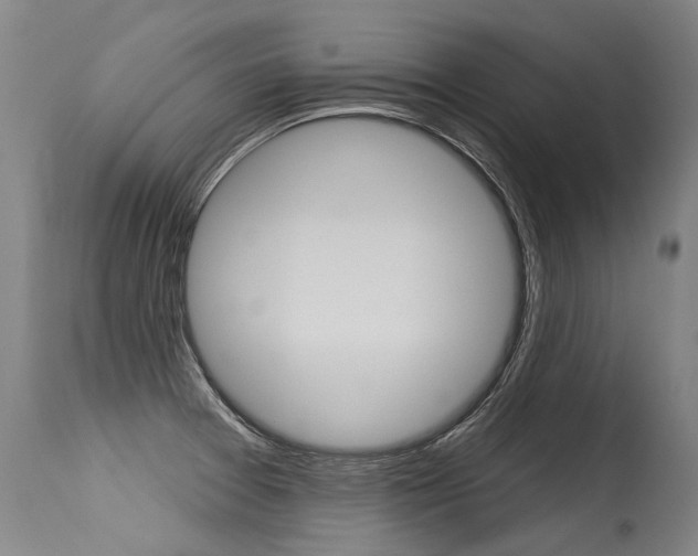X0000115631377200911101109