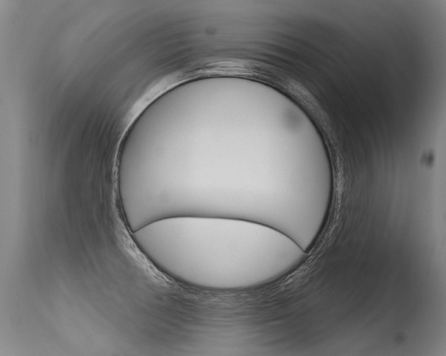 X0000115631378200911101109