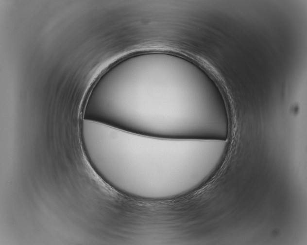 X0000115631380200911101109