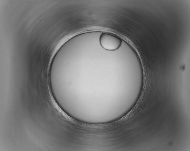 X0000115631381200911101109