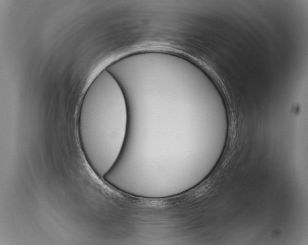 X0000115631382200911101109