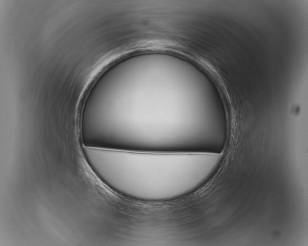 X0000115631384200911101109