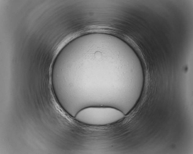 X0000115631386200911101109