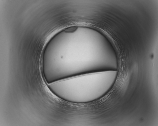 X0000115631387200911101109
