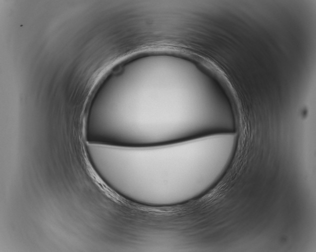 X0000115631388200911101109
