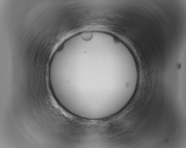 X0000115631390200911101109