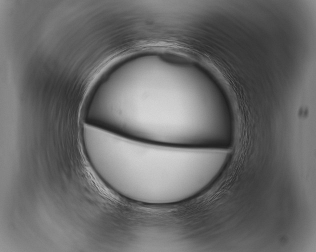 X0000115631392200911101109