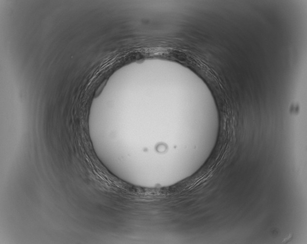 X0000115631393200911101108