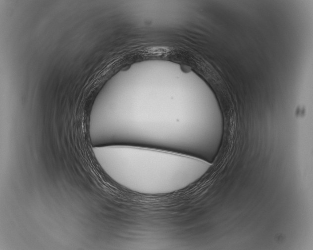 X0000115631394200911101108