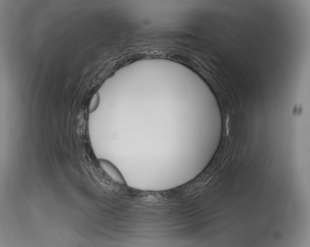 X0000115631395200911101108