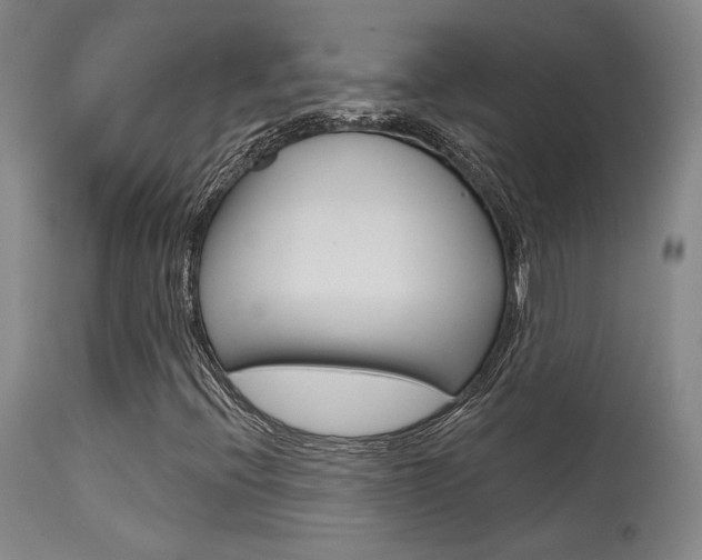 X0000115631396200911101108