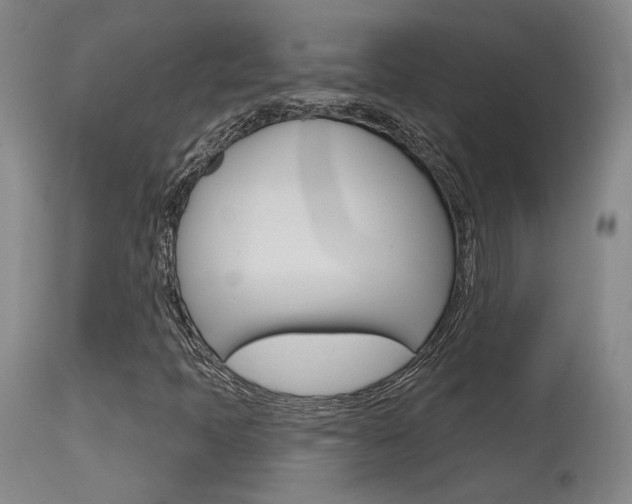 X0000115631397200911101108