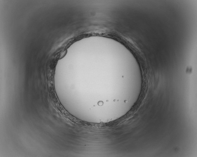 X0000115631399200911101108