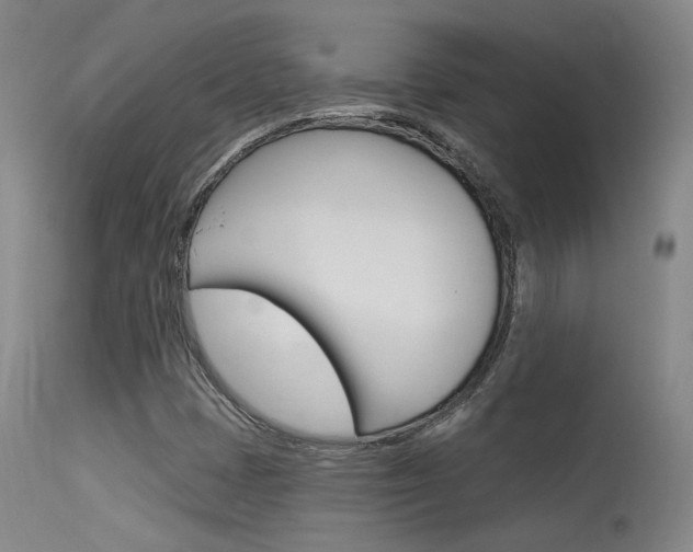 X0000115631401200911101108