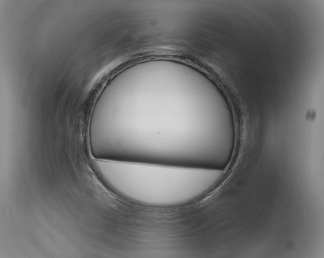 X0000115631402200911101108