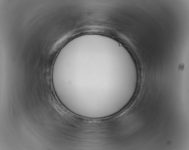 X0000115631403200911101108
