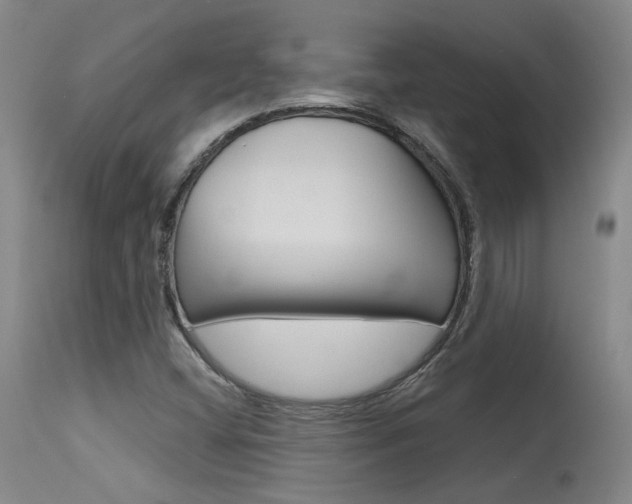 X0000115631404200911101108
