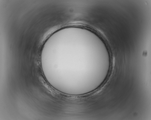X0000115631405200911101108