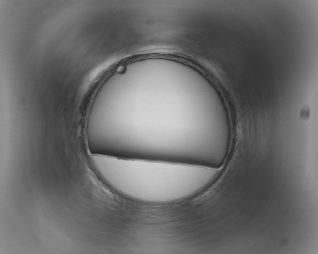 X0000115631406200911101108